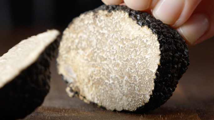 Gourmet - Black Truffles